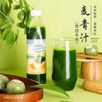 乔康麦青汁500ml青团专用的麦苗汁家用小麦汁清明果青汁艾草汁粉 乔康麦青汁500gX2(使用前先摇匀)