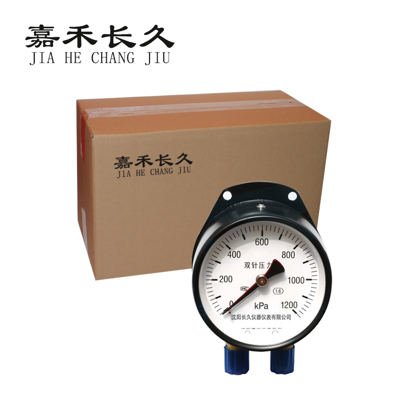 嘉禾长久/双针压力表/YCS100/个高清大图