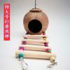 虎皮珍珠文鸟牡丹鹦鹉鸟窝椰子壳窝纯天然保暖鸟窝鸟用具防咬不烂 特大号打磨爬梯