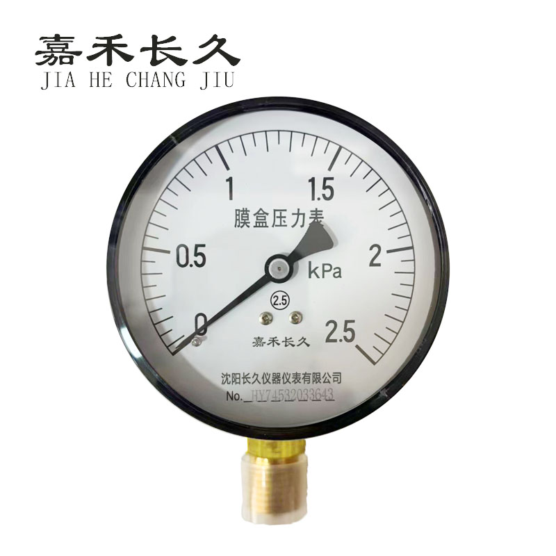 嘉禾长久+膜盒压力表检测定制型+YE60+块高清大图