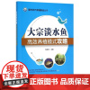 大宗淡水鱼高效养殖模式攻略(现代水产养殖新法丛书) 戈贤平主编 9787109197343