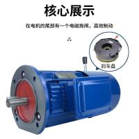 XinDaLi 新大力电机 交流电动机 YE3-112M-4-4KW