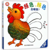 全新正版颜色颜色在哪里/拉一拉卡片认知书9787558025648江苏美术
