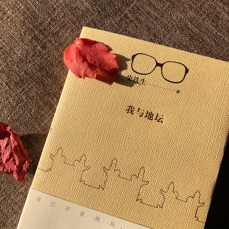 病隙碎笔 插图珍藏版 [正版]单本任选 史铁生作品全集散文小说合集 我与地坛务虚笔记病隙碎笔命若琴弦我从未如此眷恋人间