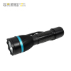 寻亮照明 防爆探照灯 RJW7103 个