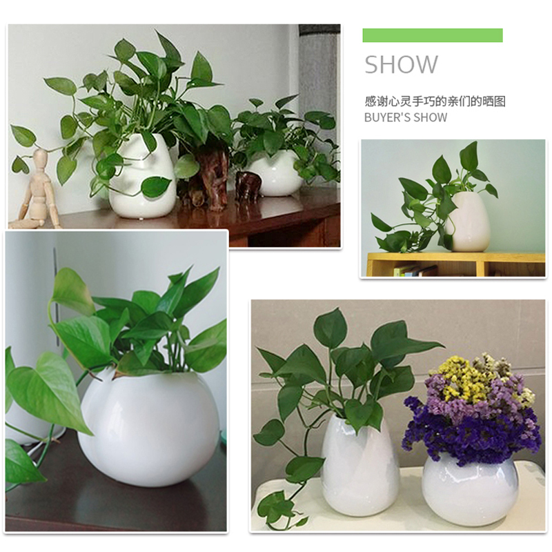 陶瓷花瓶摆件仿真水培绿萝插花客厅装饰品创意现代北欧简约白色 菱形花瓶大号+2束尤加利叶