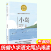 小岛 陆颖墨著 五年级统编小学语文教科书同步阅读书系 现当代儿童文学6-9-12岁小学生课外阅读书籍 全方位提升小学生阅