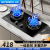 创维 Z209B液化气双灶家用 5.0kW九孔聚能猛火鸳鸯灶具 台式/嵌入式 钢化玻璃面板