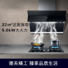 西门子LS99EN965W 抽油烟机22m/min侧吸油烟 自清洁烟机