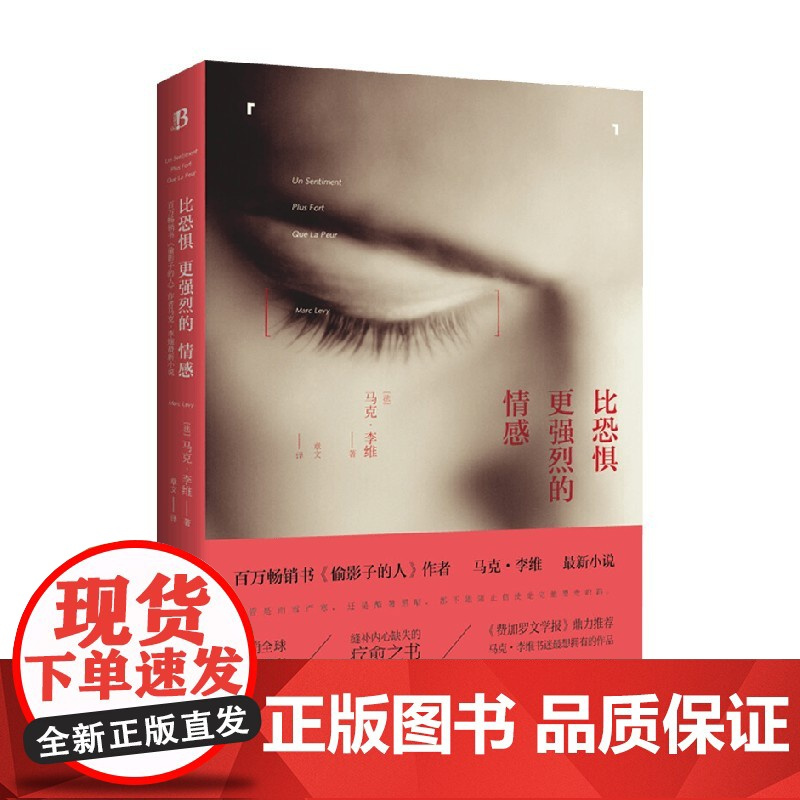 比恐惧更强烈的情感 马克·李维 著 小说