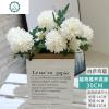 北欧仿真植物装饰ins小盆栽摆件假绿植卧室室内客厅盆景创意摆设 封后 白乒乓菊(纸袋)