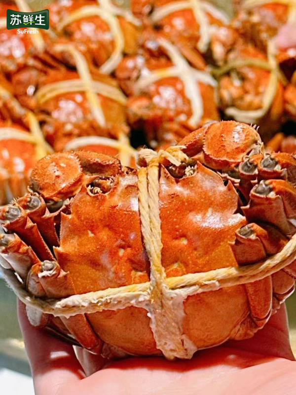 [鲜活大闸蟹]苏鲜生 苏宁甄选大闸蟹 公4两 母3两 8只