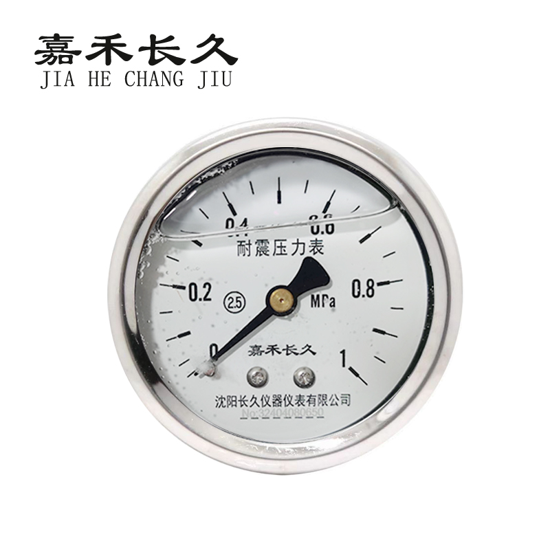嘉禾长久 耐震压力表轴向检测定制型 YTN60Z 块 0-1.0Mpa