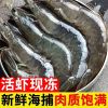 赛卡伊 大虾鲜活新鲜批发4斤海鲜水产特大级基围虾对虾一整箱 14-17厘米[特惠精选]掌柜力荐