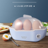 澳柯玛(AUCMA)家用煮蛋器AK-ZZ90D