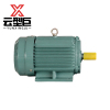 云型巨 三相异步电动机 Y160M1-2-11kw 台