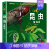 昆虫立体书(260*260mm开本) [正版]神奇的动物立体书儿童3d立体书翻翻书6-7-8-10岁以上宝宝绘本故事书图