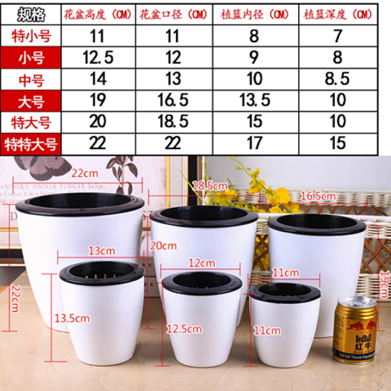 懒人花盆自动吸水花盆白色圆形多肉绿萝免浇水小塑料花盆 白色3个装[送生根粉+复合肥] 特特大号(直径21.5厘米)