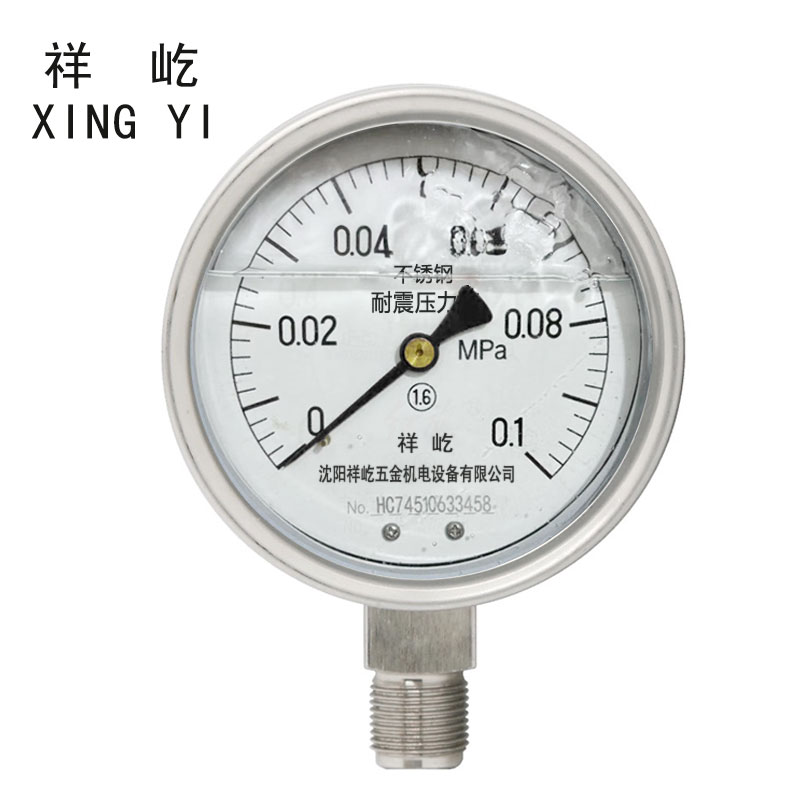 祥屹 不锈钢耐震压力表检测定制型 YTN100BF 块高清大图