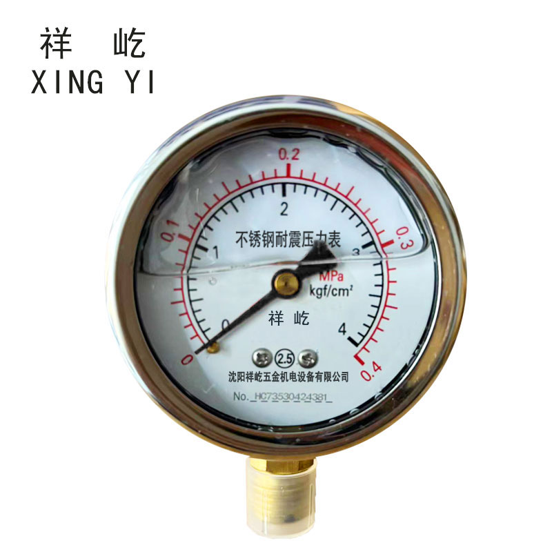 祥屹+不锈钢耐震压力表检测定制型+YN60BF +块 0-0.4Mpa