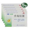 5盒]步长 香菊胶囊 步长48粒/盒