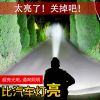 感应超亮头灯强光远射可充电防水超长待机锂电池头戴式钓鱼疝气灯 1万2W白光[不可感应不可手机充电]