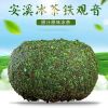 八闽东华无梗冰茶铁观音湿茶2025新茶安溪春茶特级浓香型茶叶小包装500g