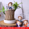 古达 巴西木水培盆栽绿植幸运木室内植物四季常青水养树桩水养易养护 巴西木+白瓷盆+小和尚遇水即活6-8厘米 含盆