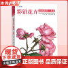 2022彩铅花卉基础教程一本通 一线美誉新书少儿零基础入门幼儿童实用初学彩色铅笔画画教材美术课件教程书籍
