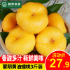 【店长力荐】【顺丰直达】山东蒙阴黄油蟠桃3斤装 单果140g起 现摘新鲜黄蟠桃 时令黄毛桃桃子水果 新鲜蟠桃扁桃 星优选