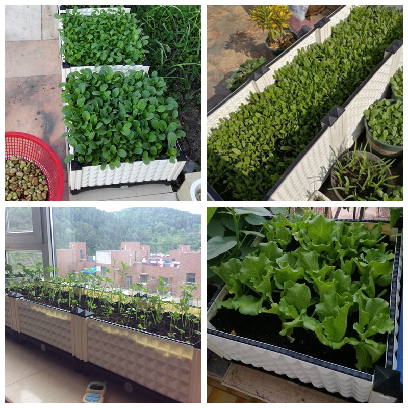新家庭特大长条种菜盆阳台室内种菜箱设备种植箱蔬菜塑料花盆花_723