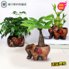 [满4送1]精品财树幸福树绿萝富贵竹文竹碧玉桌面绿植懒人盆栽(请先与客服确认再下单)