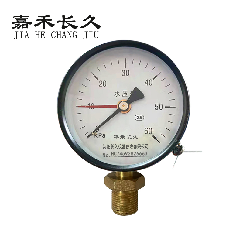 嘉禾长久 水压压力表检测定制型 Y100 块 0-60Kpa