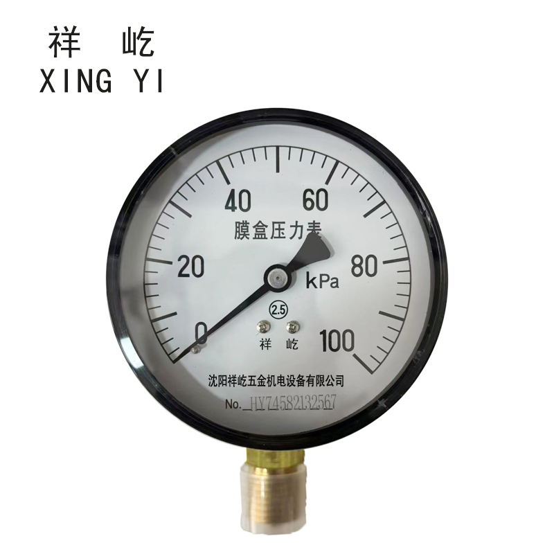 祥屹+膜盒压力表检测定制型+YE60+块 0-100Kpa