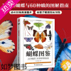 [正版][书]蝴蝶图鉴(全新升级版)精美蝴蝶图片生命科学蝴蝶的分类生物学基础知识世界蝴蝶名录图鉴蝴蝶品种蝴蝶爱好者工具书