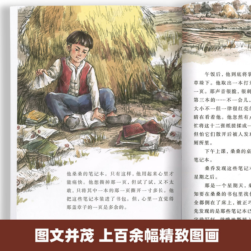 曹文轩画本9册 [正版]曹文轩草房子画本系列书全套9册 四五六年级课外书必读老师班主任的小学生阅读书籍6-7-10-12