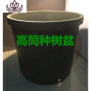 封后加高加厚耐用筒盆种树塑料花盆加大号景观树盆庭 加高加厚高筒有孔种树盆 630#外口径63*底50*高46cm花盆容器