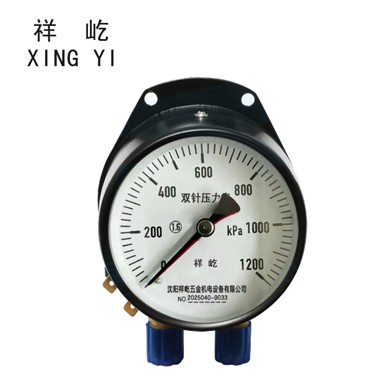 祥屹 双针双管压力表 YCS100-II 24V 台 0-1200Kpa