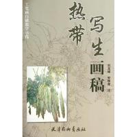 热带写生画稿 刘龙耀 著作 艺术 文轩网