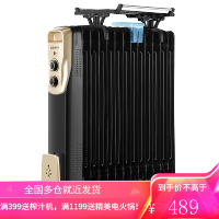 奥克斯(AUX)取暖器电油汀家用电暖器片加宽油丁防烫电热取暖气暖风机电暖气片NSC-200-11F1 13片油汀