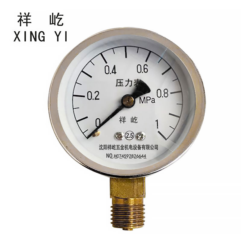 祥屹 压力表检测定制型 Y50 块 0-1.0Mpa