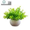 仿真米兰假花摆件客厅家居茶几摆设塑料花束植物小盆栽套装饰品 封后 米兰1号+白瓷盆仿真植物