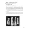 [正版]新概念英语4流利英语 学生用书 全新版 附扫码音频 英语学习书籍 小学初中英语语法大全 零基础英语学习教材