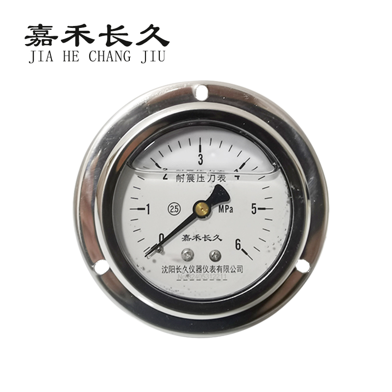 嘉禾长久/耐震压力表轴向带边/YN60ZT/个 0-6MPa