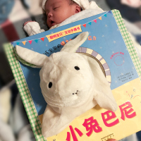 [正版]小兔巴尼小熊泰迪聪明宝贝互动手偶书2册故事绘本0-3岁宝宝认知儿童布偶婴触摸厚纸板不易撕烂启蒙早教睡前3d立体益