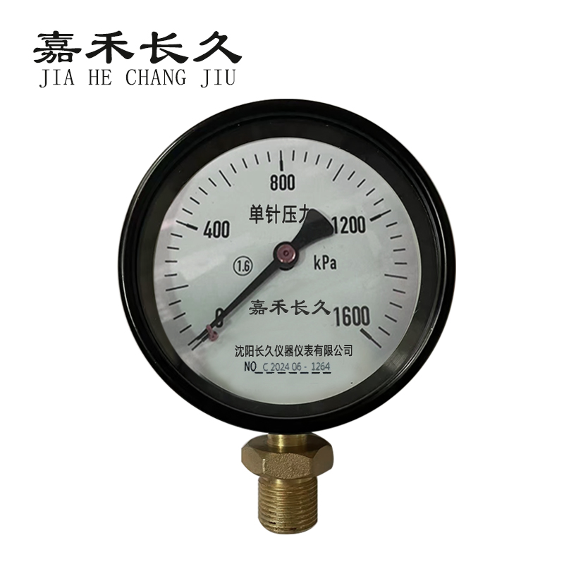嘉禾长久+风表(压力表)+Y100 1.6级+块 0-1600Kpa