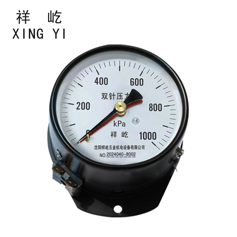 祥屹 轴向双针压力表 YYS-JY-100Z 台 压力值备注