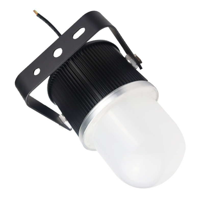 鼎晟丰(DSF) DSFG-920A 30W IP66 5500K LED环照灯 (计价单位:个) 黑色