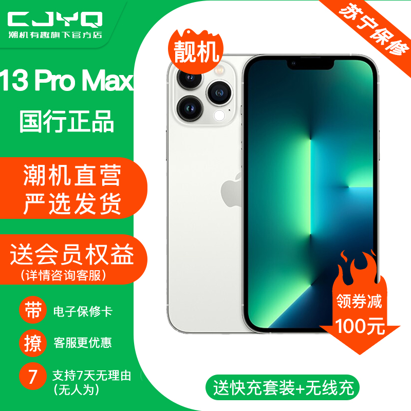 【二手95新】Apple iPhone13 Pro Max 银色 256GB 苹果13PM 白色 国行全网通 正品