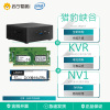 英特尔猎豹峡谷NUC11PAHi7厚款不带系统+2根金士顿KVR DDR4 3200 8G笔记本内存条+NV1 500GB SSD固态硬盘 M.2接口(NVMe协议)